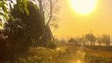 愿你历遍山河，仍觉人间值得……