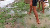 钓鱼视频：资源太好，没人钓鱼，用捡的就够了
