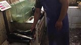 “酸菜鱼火锅”5斤花鲢1包酸菜，超小厨猛吃一锅，麻辣真过瘾