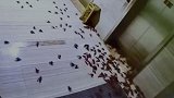 女白领点外卖忘记取 第二天上班看到一幕差点被吓坏