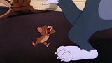 猫和老鼠：杰瑞快被逼疯了，晚上在家睡觉汤姆在外面放歌！