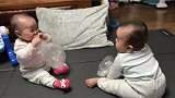 双胞胎宝宝面对面坐着玩袋子，双方咔咔大笑的声音萌翻了！