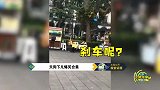 爆笑天狗下凡神仙合集，滑板狗狗新姿势引围观