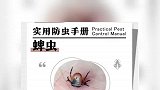 在沙发上睡了一觉，广东一男子差点截趾！