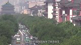 小伙到山上挖地，意外发现金铜色乌龟，找专家鉴定，土地却被收走