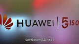 盲目自信？美籍专家“抨击”华为：除了5G你们还有什么！