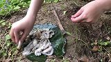 漂亮姐姐钓白色鲶鱼，用的钓饵很贵，一般人钓不起