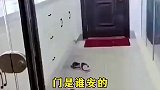 邻居建门私占走廊公摊面积先到先得吗