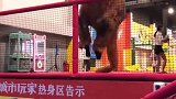 老虎的尾巴摸不得，恐龙的尾巴踩不得