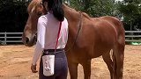 骑马就是要这样相互配合