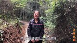 石菖蒲又叫水蜈蚣，用它熬水洗澡厉害了？看视频了解更多