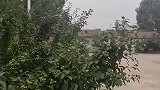 旺宅的三大风水