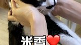 找不到人说话 只好教会你们说话 老母亲要哭晕了