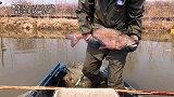 北大荒开春第一网 100米渔网鱼成串上 真过瘾