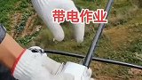 带电作业，电气工程水电工农民工