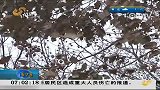 立春到天犹寒 冷空气来袭元宵夜或许雪打灯