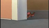 猫和老鼠：汤姆遇到巫婆，偷用魔法扫把，整蛊杰瑞