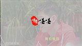 女追男成功典范！秦海璐自曝主动追求王新军：我好不容易追回来的