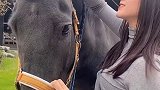 今天给大家介绍一下飓风呀我的生活日记