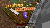 我的世界1.16联机226：趁迪哥没回来，赶紧把土豆地还原