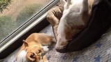 这才是放假应该有的状态
