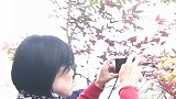 接下来的日子，临安指南村等地方的红叶，值得采风走一走！