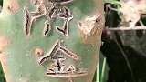 每天都被大量游客看见