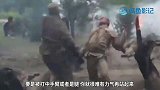 枪战时，躲在水里能救命吗？3D模拟全过程，太不可思议了