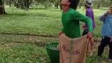 哥们，你这发型真平啊！