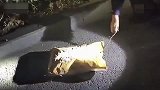 【安徽】街头现“会动”的编织袋吓坏路人 得知真相民警哭笑不得