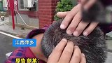 好友酒局劝酒不成起冲突，被告不喝抄起酒瓶把人砸了