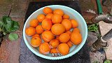 教你在家自制杏干，无任何添加剂，酸甜开胃，口感劲道，建议收藏