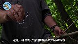 2毫米的求生线能把树锯断小伙亲测，隔着屏幕的无奈