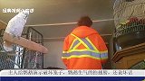 主人给鹦鹉演示破坏笼子，鹦鹉生气的拍翅膀，还说坏话