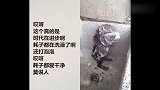 时代进步了，耗子都在洗澡，还打泡泡，活着比人都舒服！