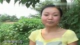 重庆家长“六一”新主张 孩子田间忙收菜-5月30日