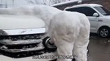 单身久了看雪人都眉清目秀的