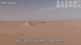 中国在塔克拉玛干沙漠，投资上亿种下胡杨林，现在却成这般模样！