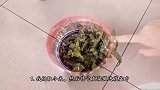 不管多难活的花，只需花盆里撒点它，猛生根抽新芽，越长越旺盛