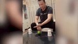 爆笑合集，喵星人和四脚蛇的对决，太有意思了