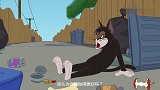 猫和老鼠：布奇在垃圾堆找不到吃的，汤姆却吃着大餐，野猫和家猫