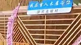 种在地里的茄子长啥样？漠河民宿满足你对田园生活的全部幻想，是时候安排一场龙江生态之旅了！#漠河 #两极穿越龙江行 #清凉在龙江