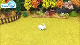 淼淼童话镇第七十二集爱吃糖的小白兔