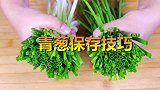 小葱吃不完难保存？姑娘教你好方法