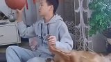 男子用狗狗爪子转篮球，狗子从此有了篮球梦