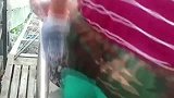 据说滑梯管理处从来不请清洁工，因为游客就是他们的清洁工！
