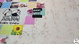 定格动画，积木玩具湿地推土机拼装