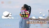 王新军带丈夫团搞事情，吃喝玩乐不管妻子，秦海璐大发雷霆