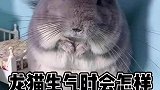 用手擦嘴，知道有多被嫌弃了么