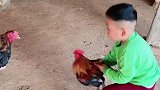 小男孩抱着公鸡斗鸡
